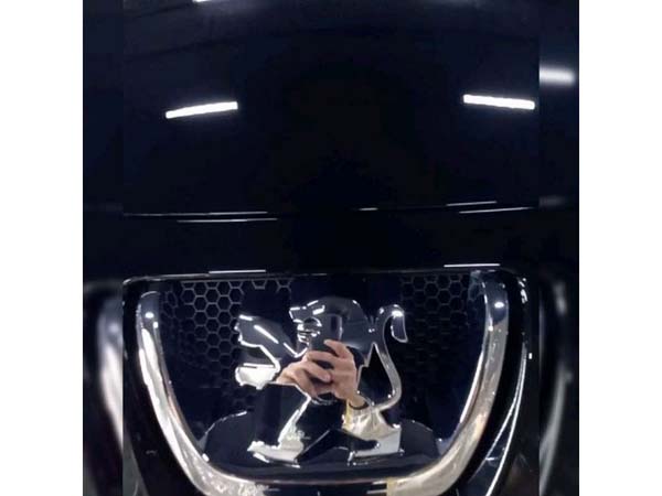1 (15)