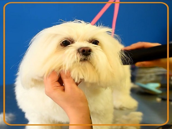 6 - 271380235_404121784845180_2181424840198515056_n