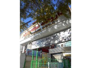 19 - drmmadhooshi-1