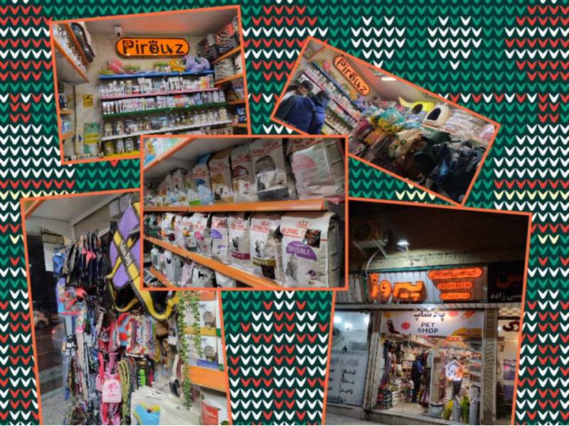 photo_2024-02-02_00-31-19 (Copy)