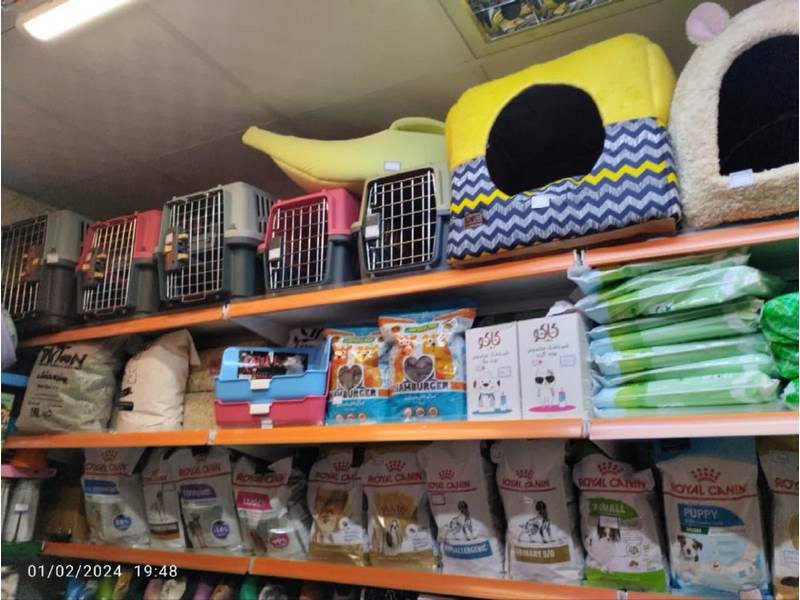 photo_2024-02-02_00-31-27 (Copy)