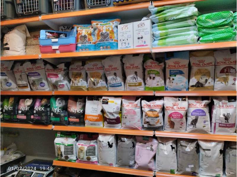 photo_2024-02-02_00-31-31 (Copy)