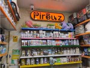 photo_2024-02-02_00-31-34 (Copy)