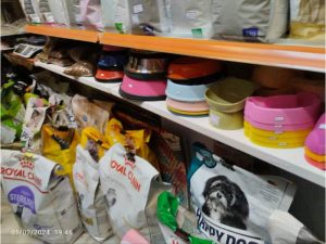 photo_2024-02-02_00-31-42 (Copy)