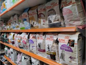 photo_2024-02-02_00-31-44 (Copy)