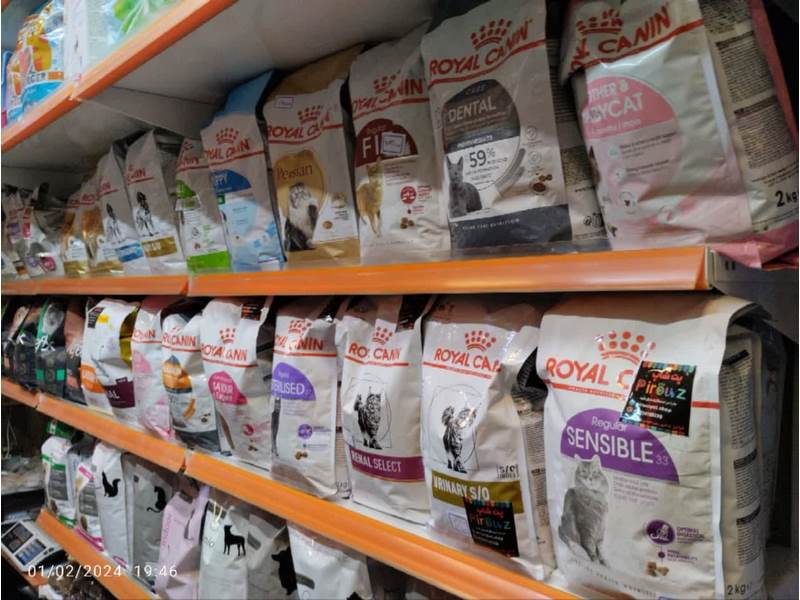 photo_2024-02-02_00-31-44 (Copy)