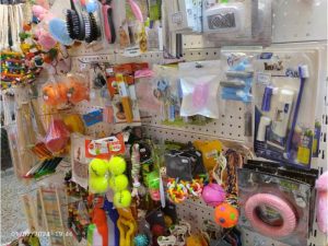 photo_2024-02-02_00-31-48 (Copy)