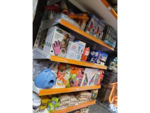 photo_2024-02-02_00-31-50 (Copy)