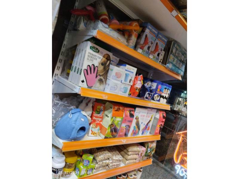 photo_2024-02-02_00-31-50 (Copy)