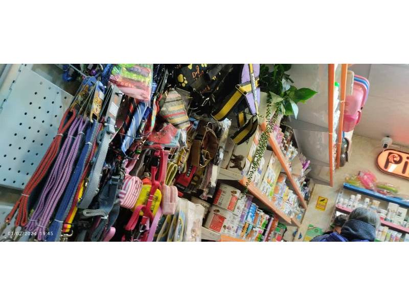 photo_2024-02-02_00-31-55 (Copy)