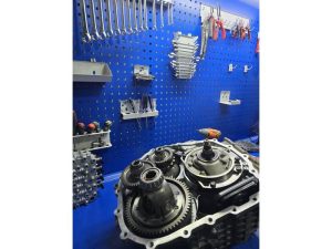 photo_2025-01-03_11-44-04 (Copy)