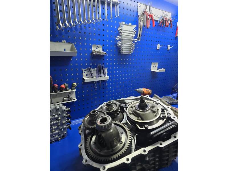 photo_2025-01-03_11-44-04 (Copy)