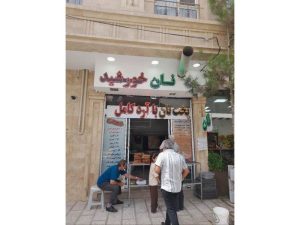 photo_2025-08-14_01-02-41 (Copy)