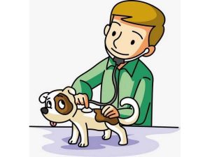 photo_2025-10-05_00-11-16 (Copy)