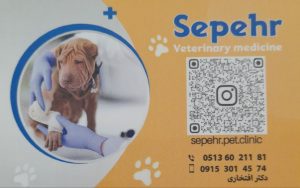 photo_2025-11-09_23-56-18