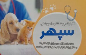 photo_2025-11-09_23-56-22